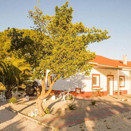 Casa Das Pipas #4 Pinhal Novo Exterior photo